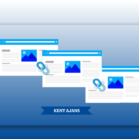 Popular backlink programs